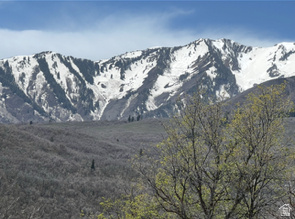 10 E SPRING MOUNTAIN DR Springville, UT 84663