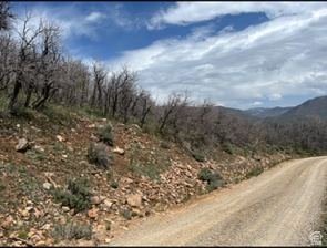 10 E SPRING MOUNTAIN DR Springville, UT 84663