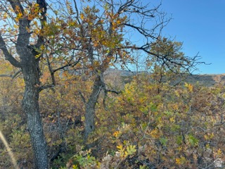 10 E SPRING MOUNTAIN DR Springville, UT 84663