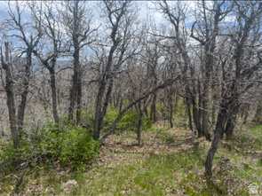 10 E SPRING MOUNTAIN DR Springville, UT 84663