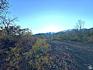 10 E SPRING MOUNTAIN DR Springville, UT 84663