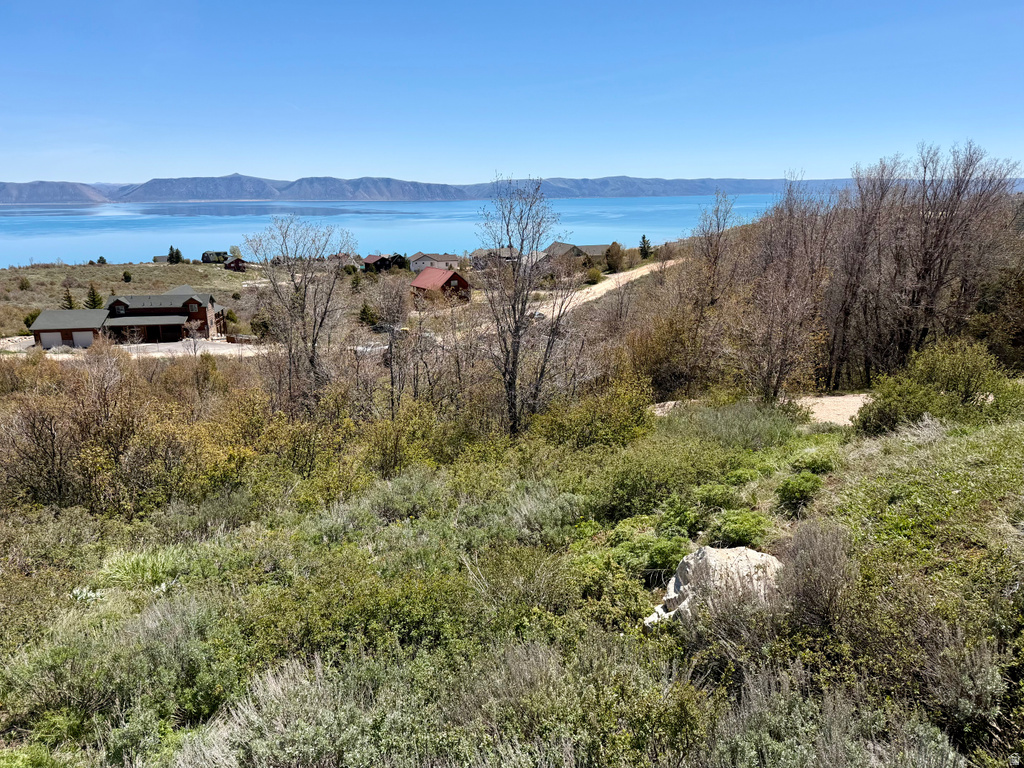 86  CALAMITY DR Fish Haven, ID 83287