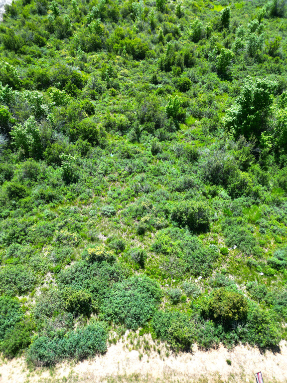 86  CALAMITY DR Fish Haven, ID 83287