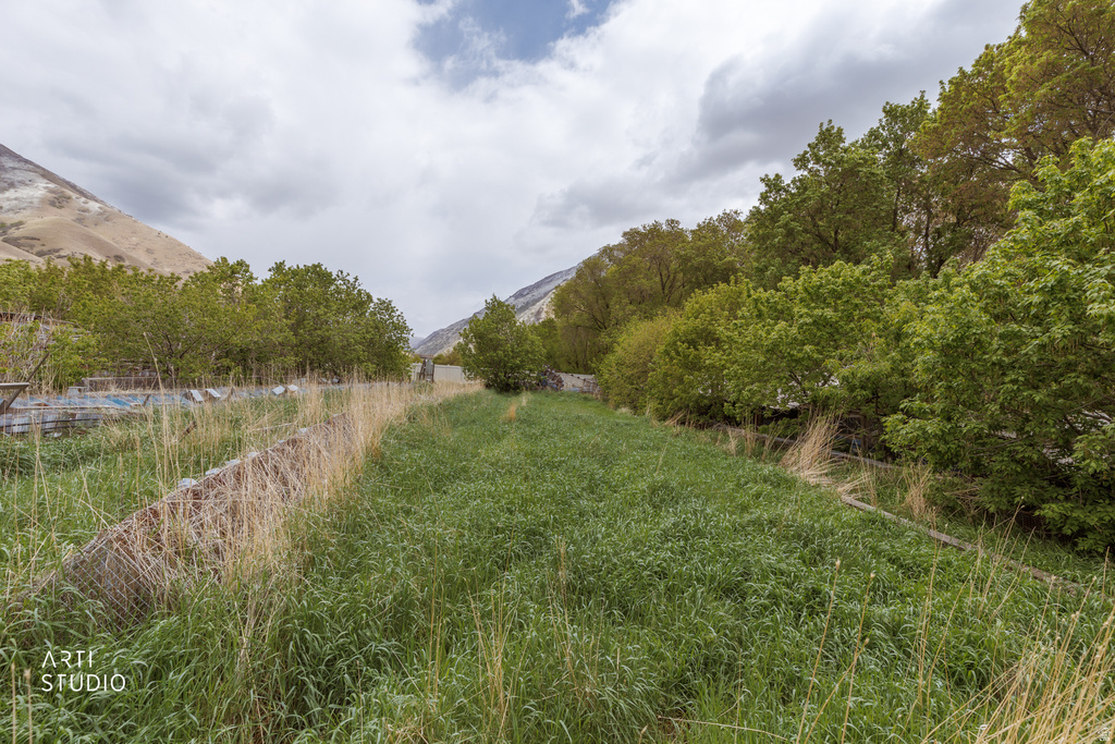 2672 E CANYON RD Springville, UT 84663