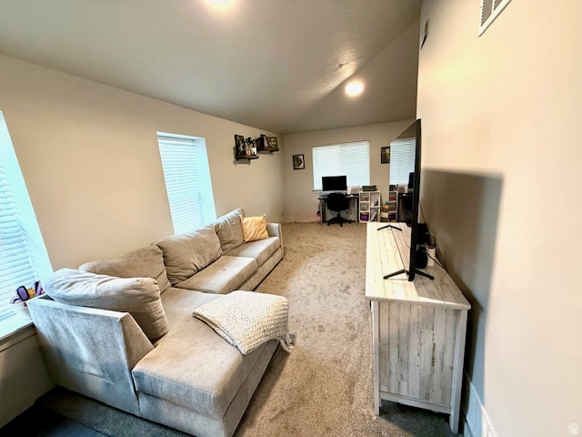 618 S 100 W #D306 Springville, UT 84663