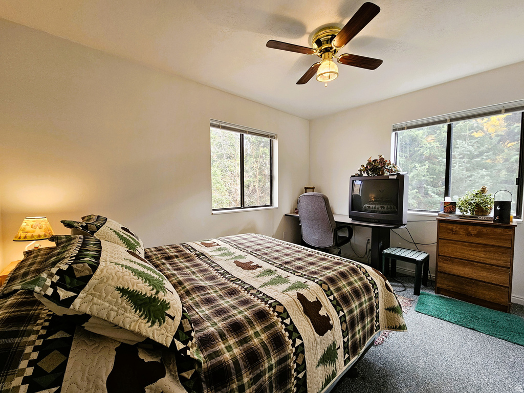 38 TWIN CREEK DR #V38 Mt Pleasant, UT 84647