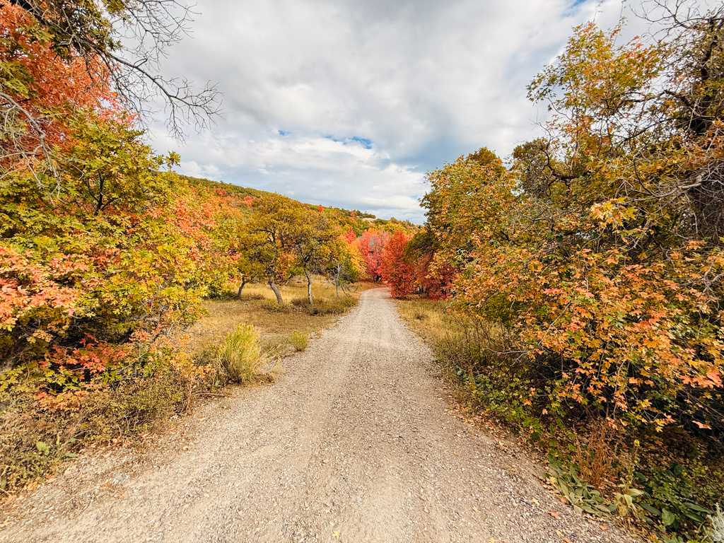 31 JUNIPER DR #M31 Fairview, UT 84629