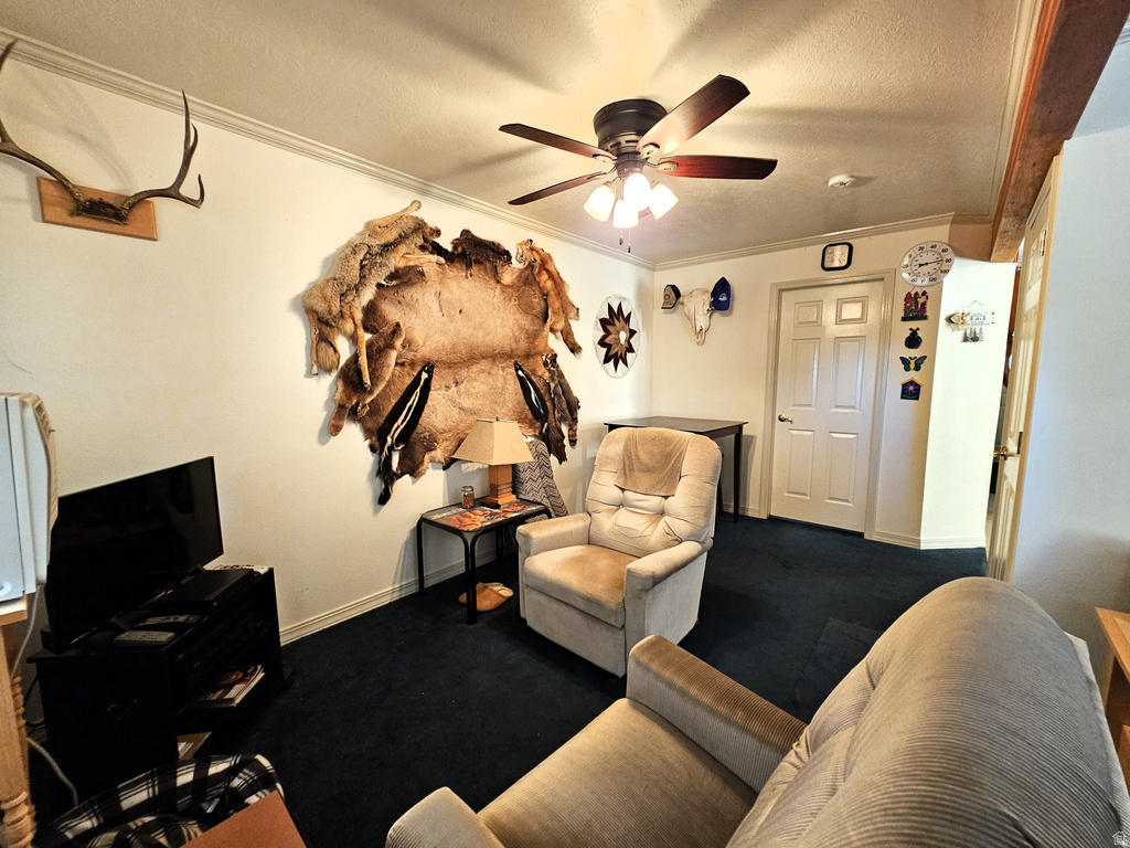 31 JUNIPER DR #M31 Fairview, UT 84629