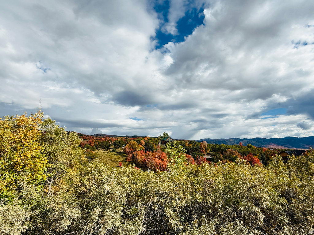 31 JUNIPER DR #M31 Fairview, UT 84629