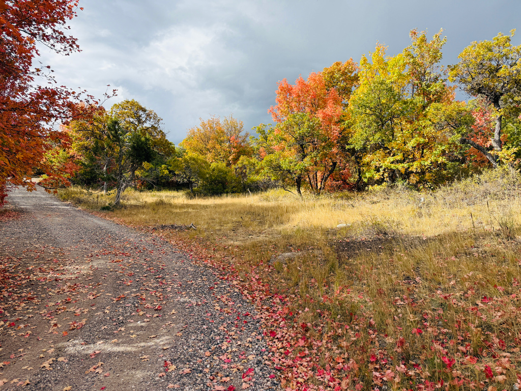 31 JUNIPER DR #M31 Fairview, UT 84629