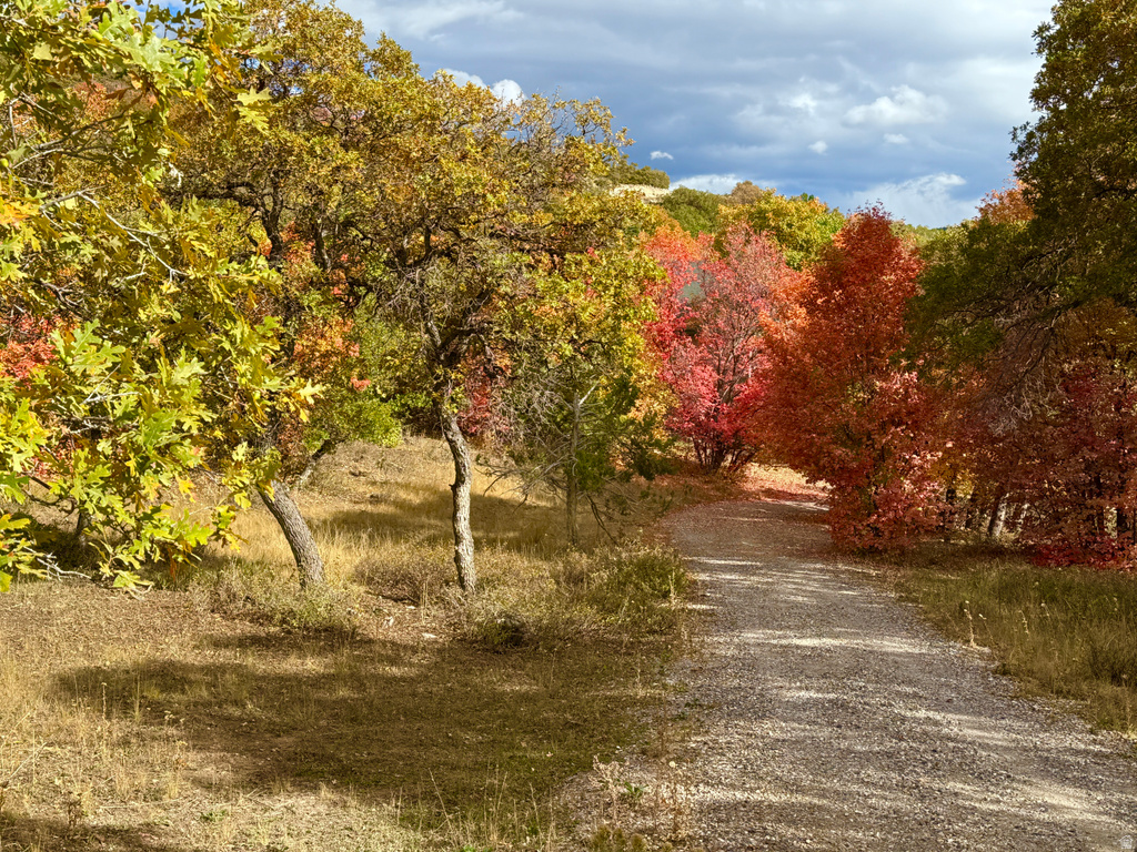 31 JUNIPER DR #M31 Fairview, UT 84629