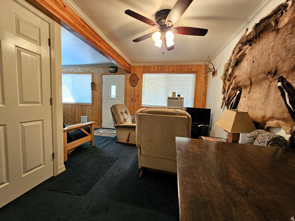 31 JUNIPER DR #M31 Fairview, UT 84629
