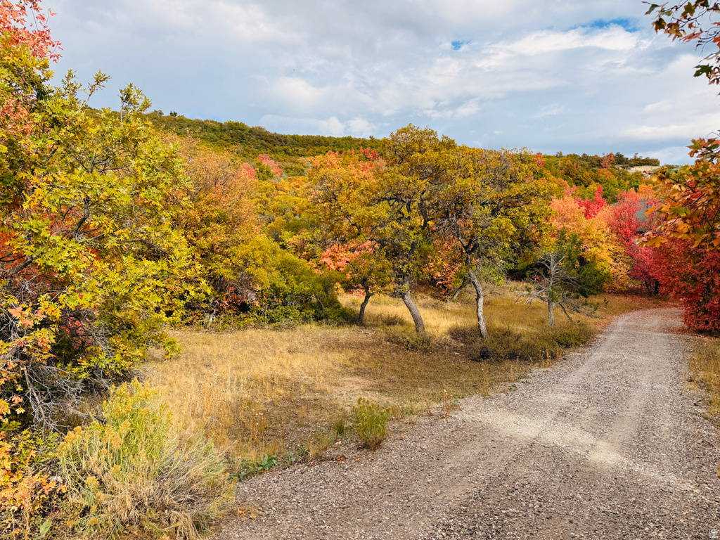 31 JUNIPER DR #M31 Fairview, UT 84629