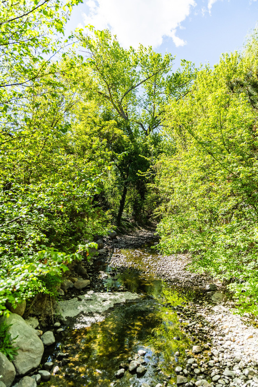 507 E TONALEA DR Murray, UT 84107