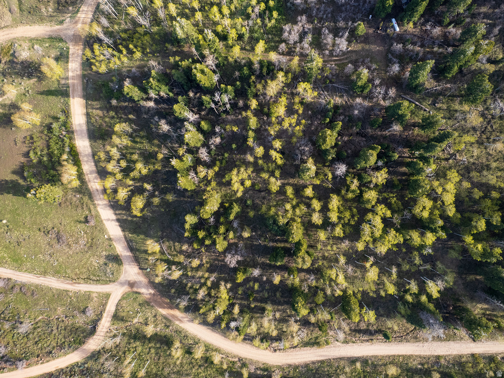 2462 S BULL MOOSE DR Coalville, UT 84017