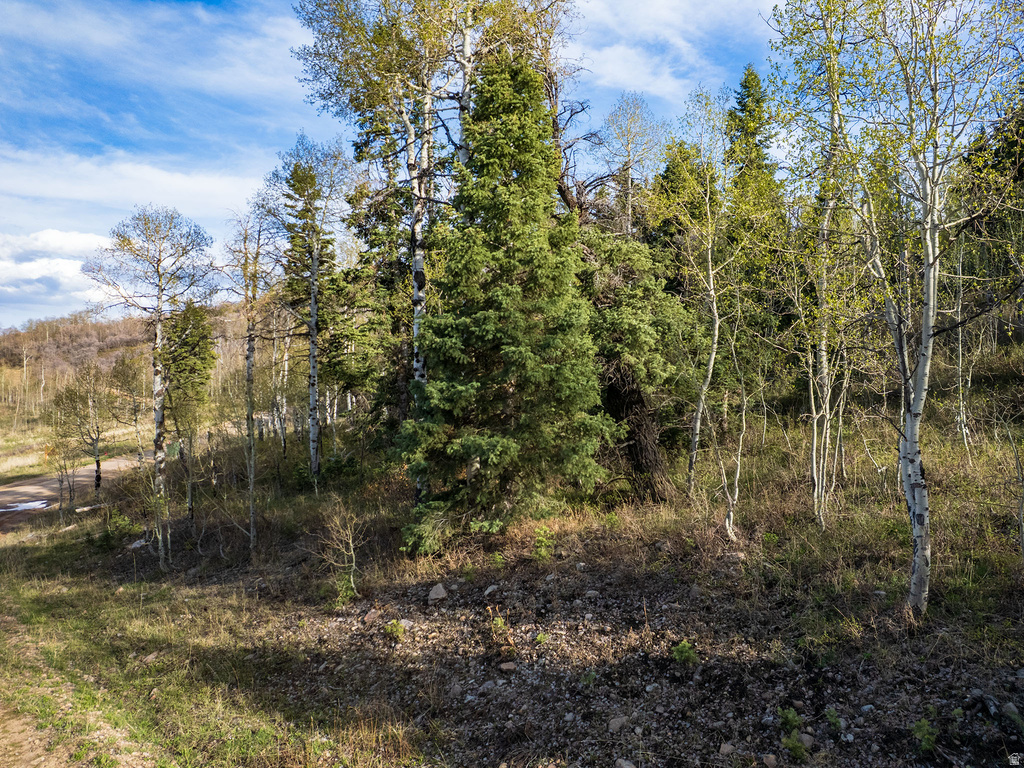 2462 S BULL MOOSE DR Coalville, UT 84017