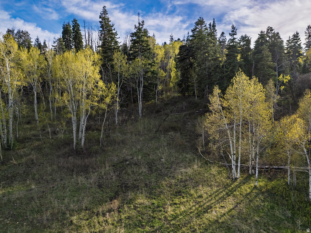 2462 S BULL MOOSE DR Coalville, UT 84017