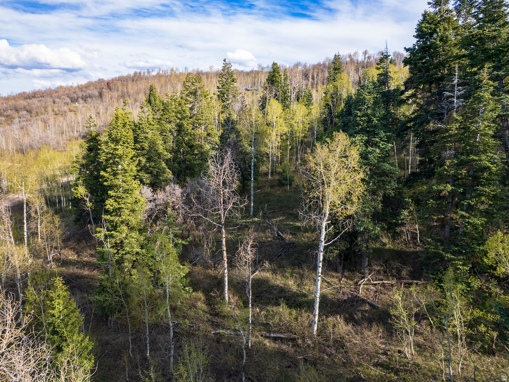 2462 S BULL MOOSE DR Coalville, UT 84017