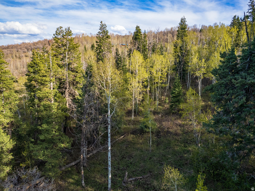 2462 S BULL MOOSE DR Coalville, UT 84017