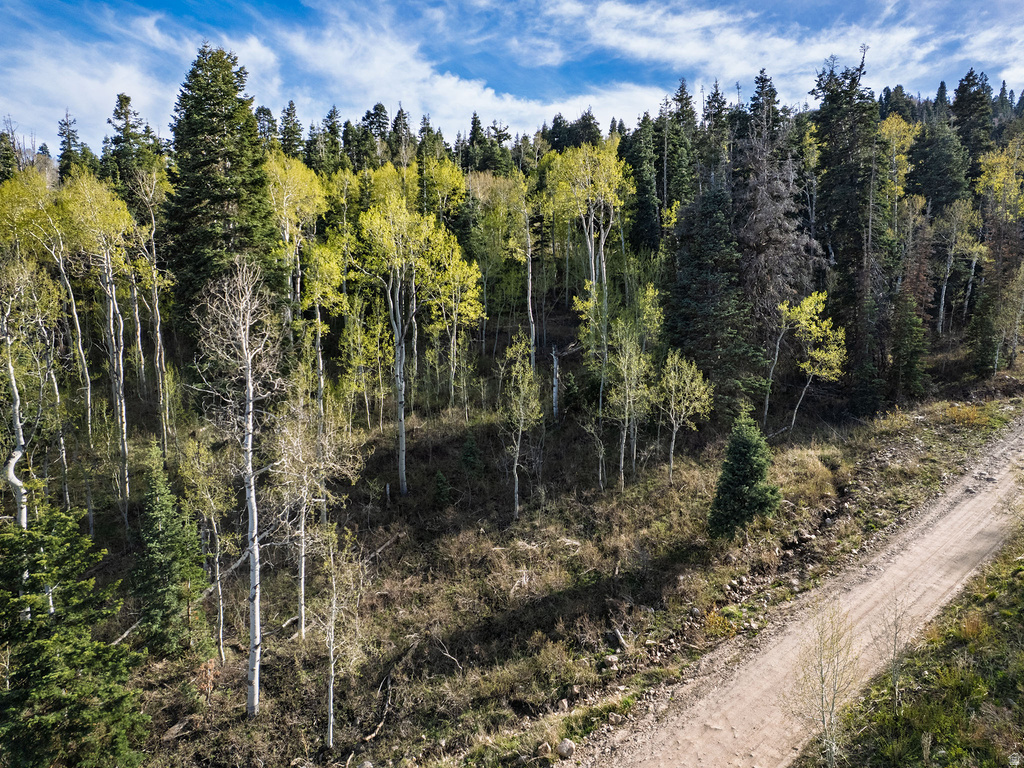 2462 S BULL MOOSE DR Coalville, UT 84017