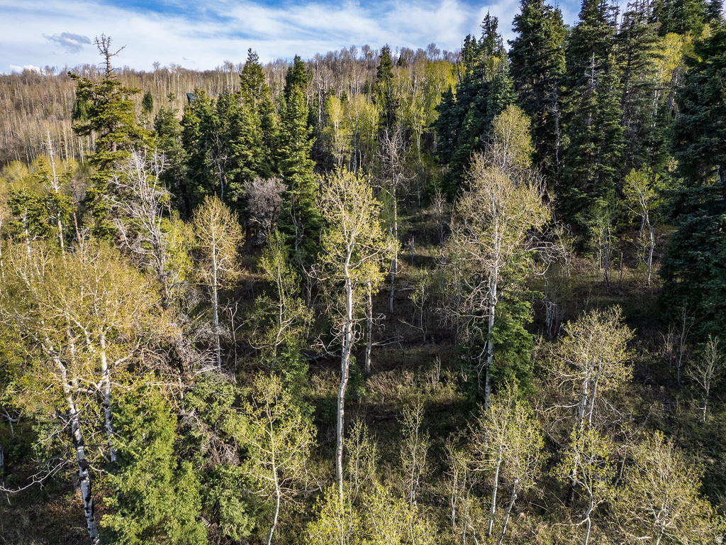 2462 S BULL MOOSE DR Coalville, UT 84017