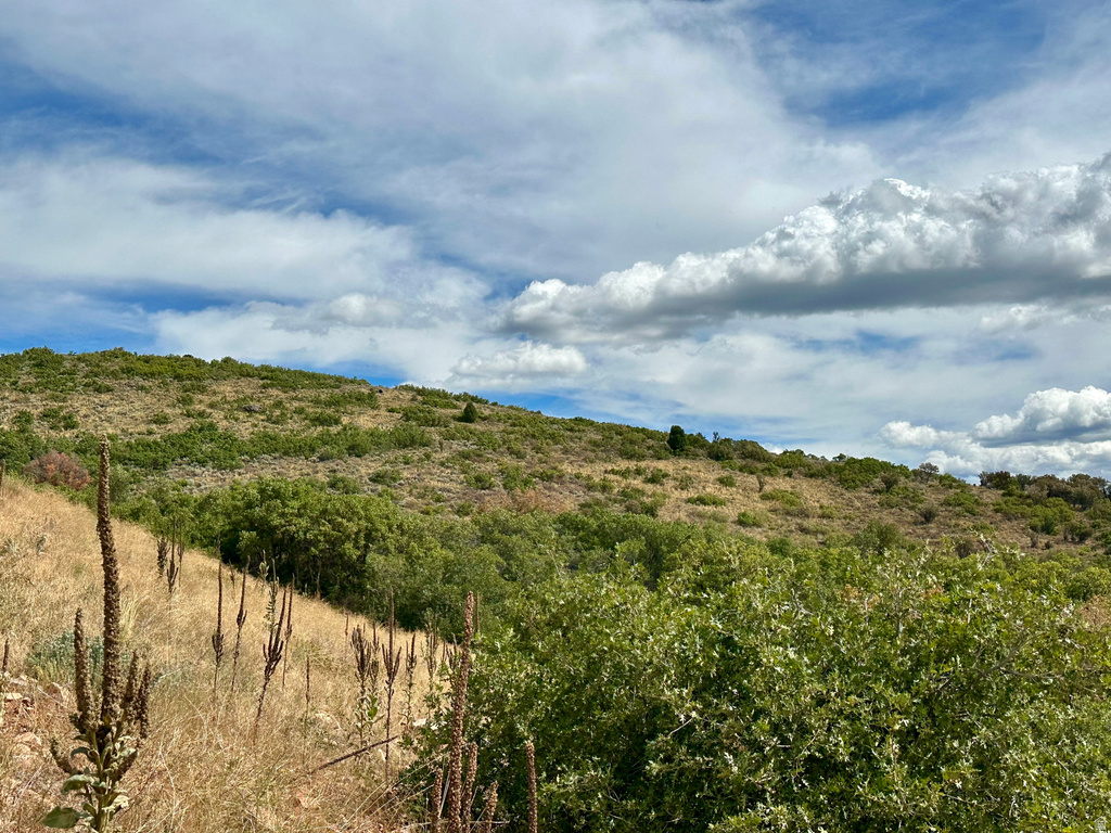 2097 E PEAK VIEW DR Hideout, UT 84036