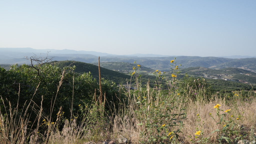 2097 E PEAK VIEW DR Hideout, UT 84036