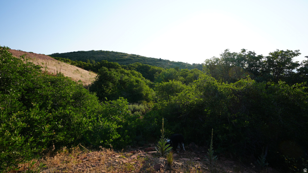 2097 E PEAK VIEW DR Hideout, UT 84036