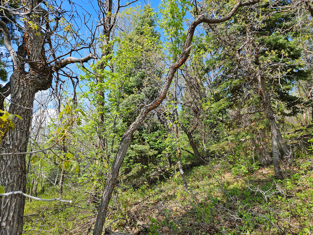 1246 E NORTH FORK RD Fairview, UT 84629