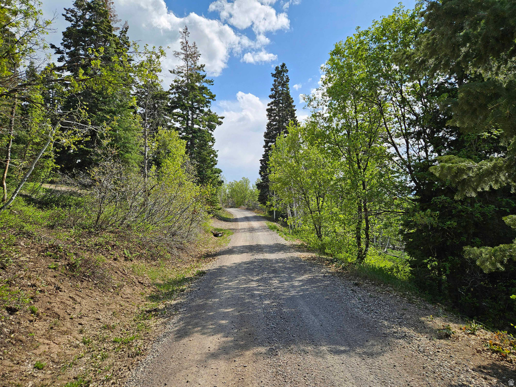 1246 E NORTH FORK RD Fairview, UT 84629
