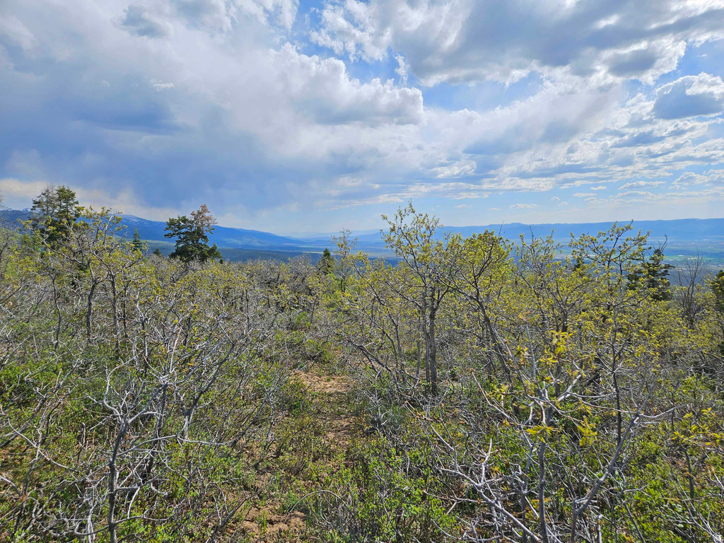 1246 E NORTH FORK RD Fairview, UT 84629