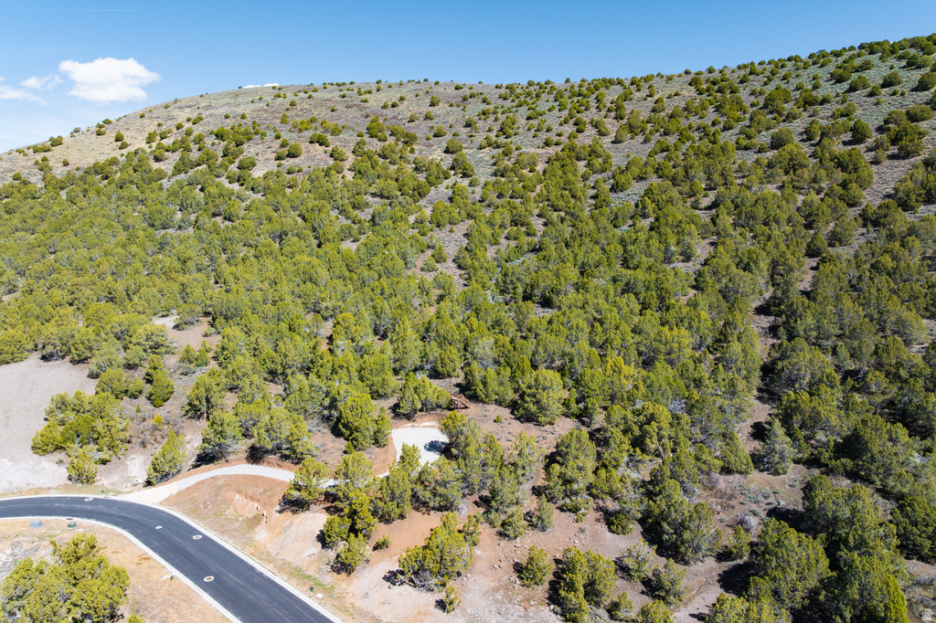 2771 E LA SAL PEAK DR Heber City, UT 84032