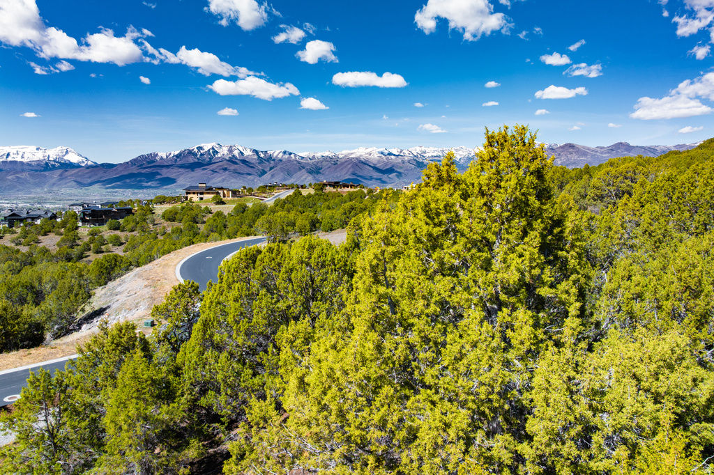 2771 E LA SAL PEAK DR Heber City, UT 84032