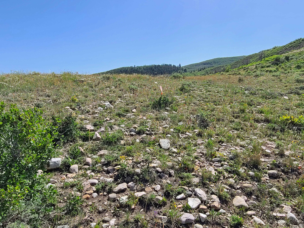 93 W SPRING DR Indianola, UT 84629