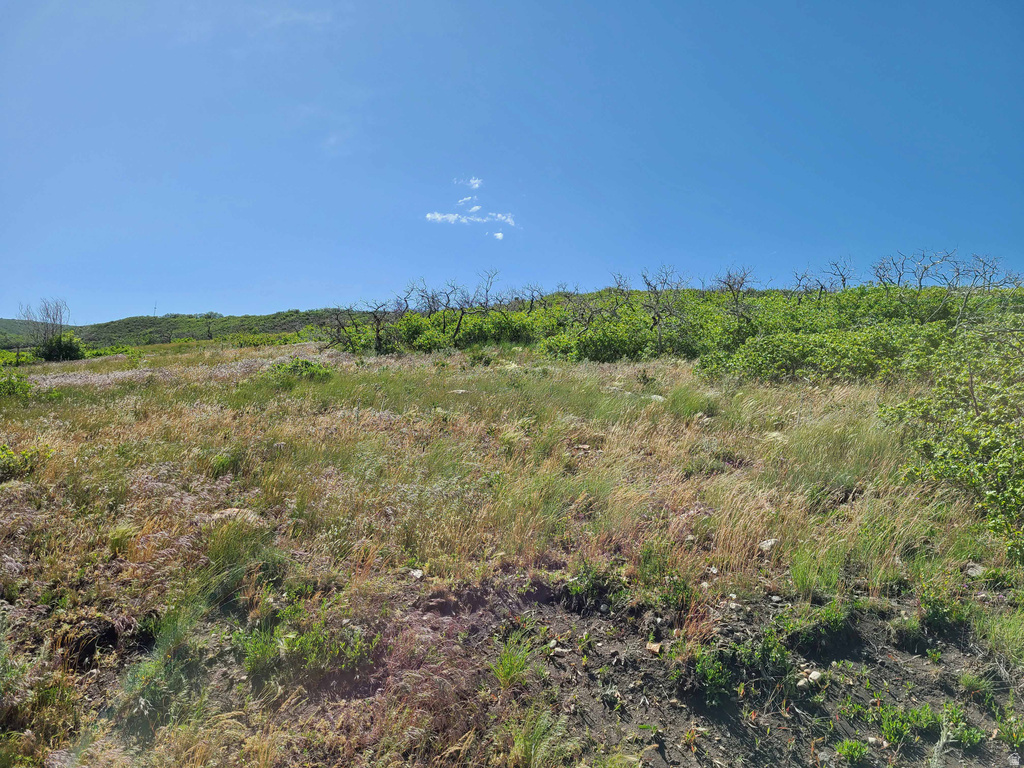 93 W SPRING DR Indianola, UT 84629
