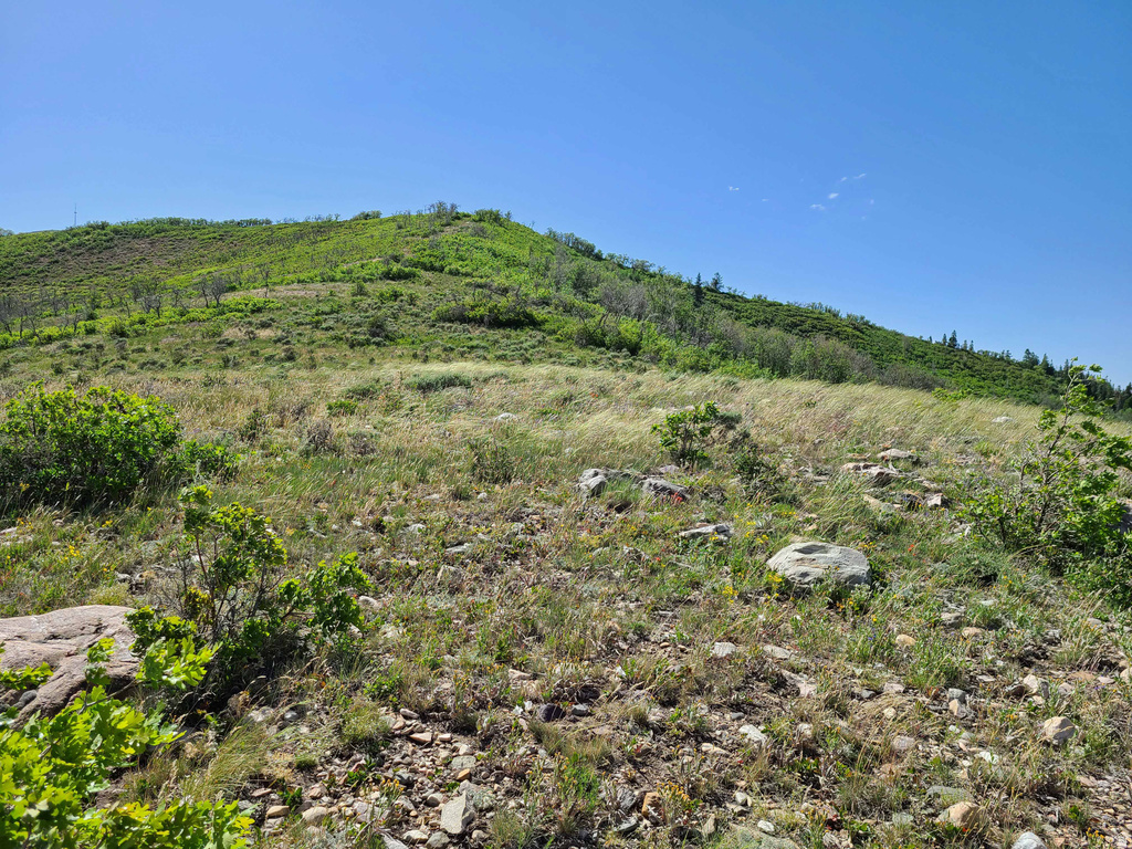 93 W SPRING DR Indianola, UT 84629