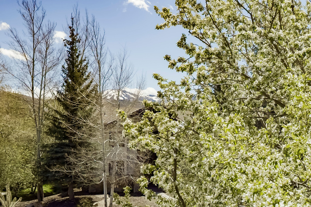 1 SPYGLASS CT Park City, UT 84060