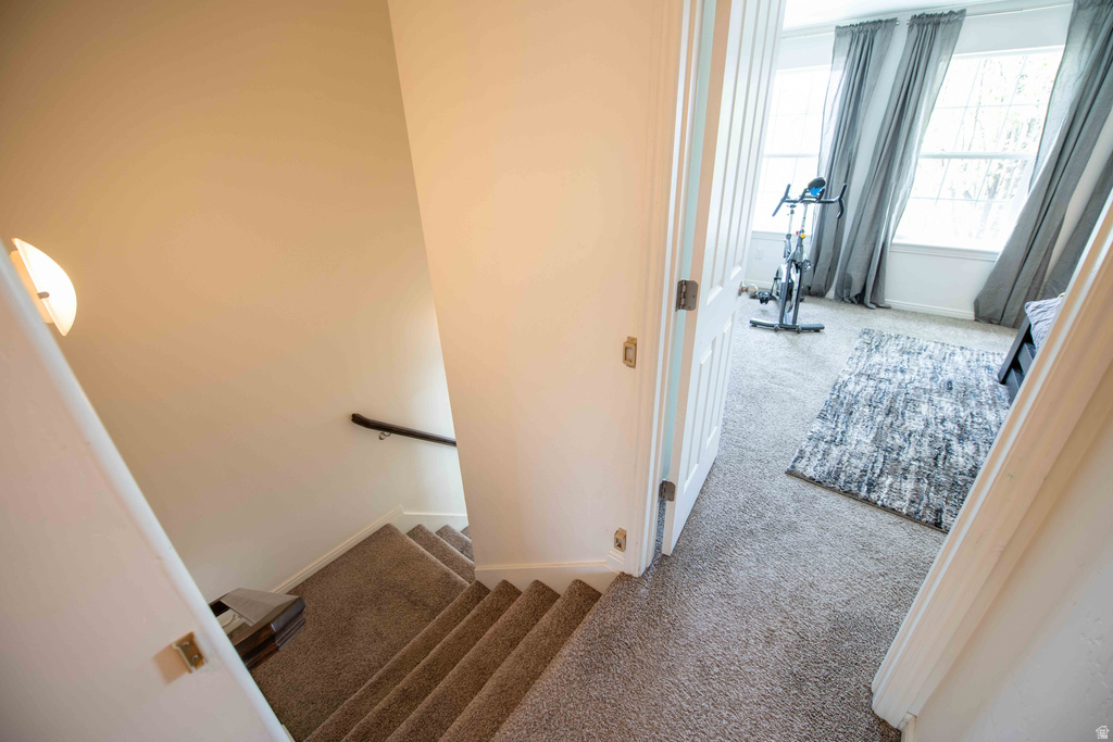 312 N 1260 W Provo, UT 84601