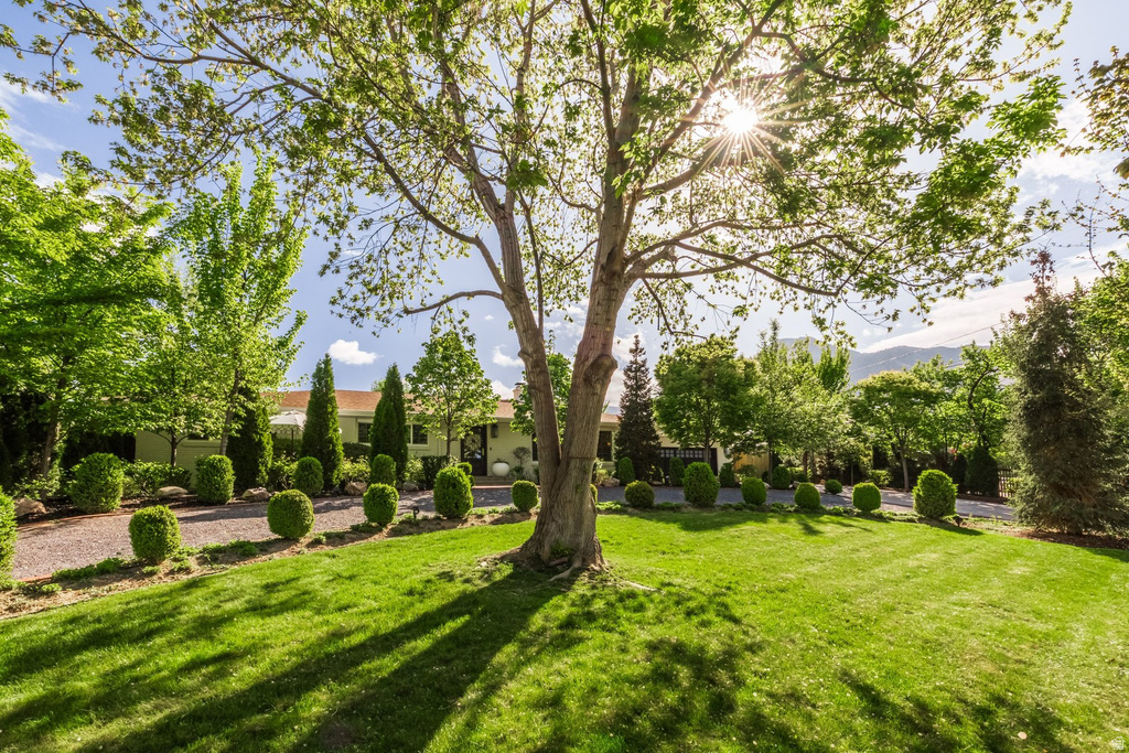 4411 S WANDER LN Holladay, UT 84124