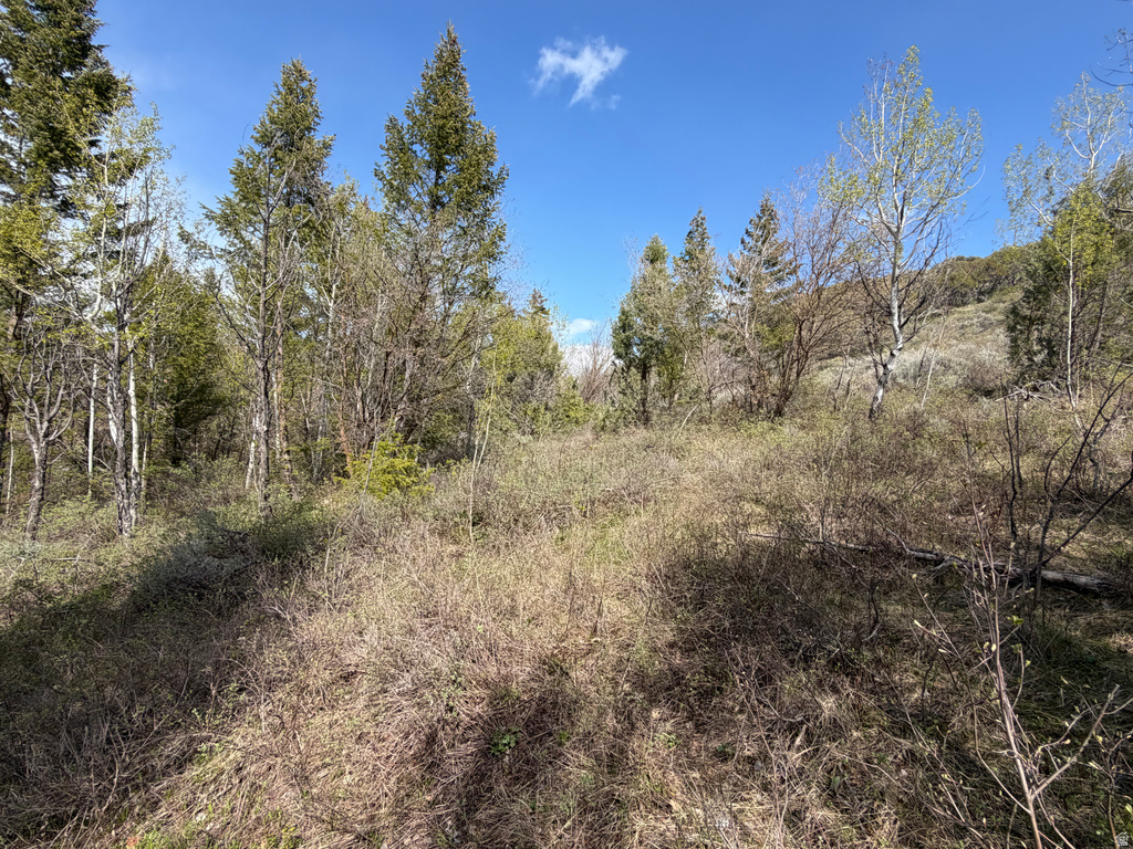 1300 W SWAN CREEK SPRING RD Garden City, UT 84028