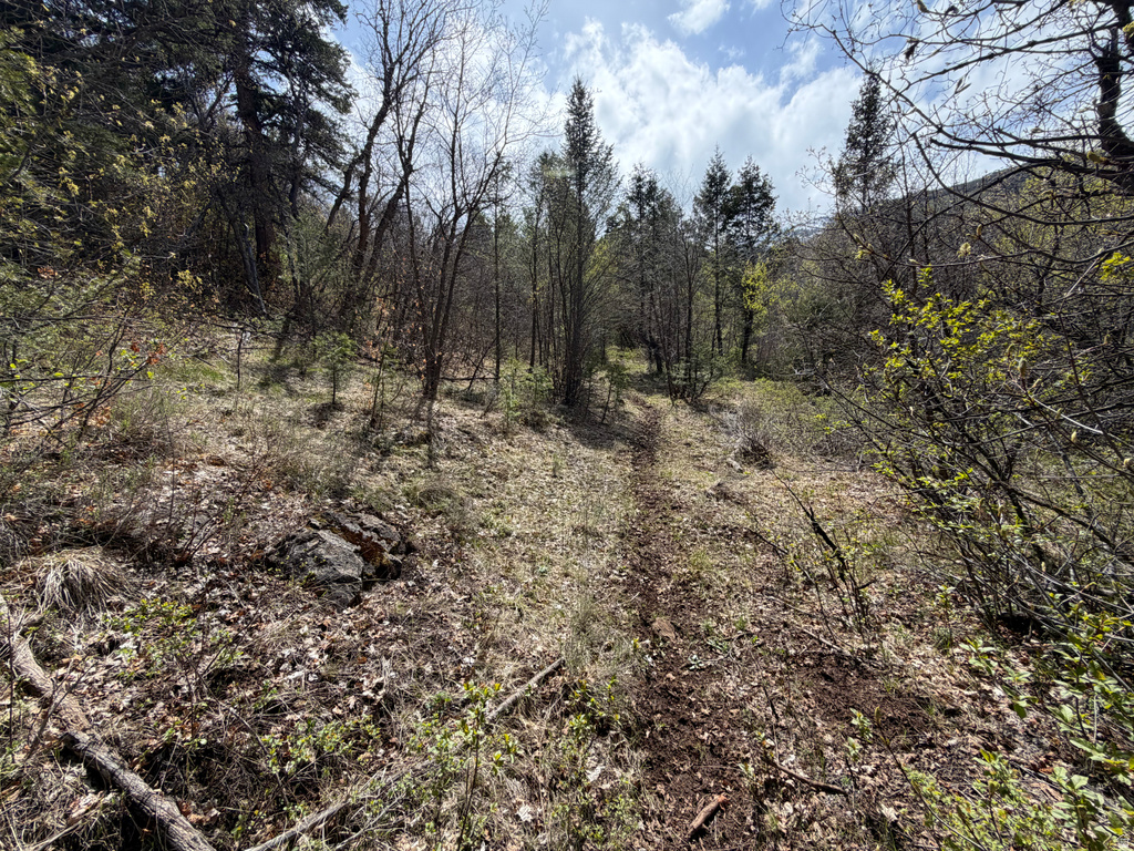 1300 W SWAN CREEK SPRING RD Garden City, UT 84028