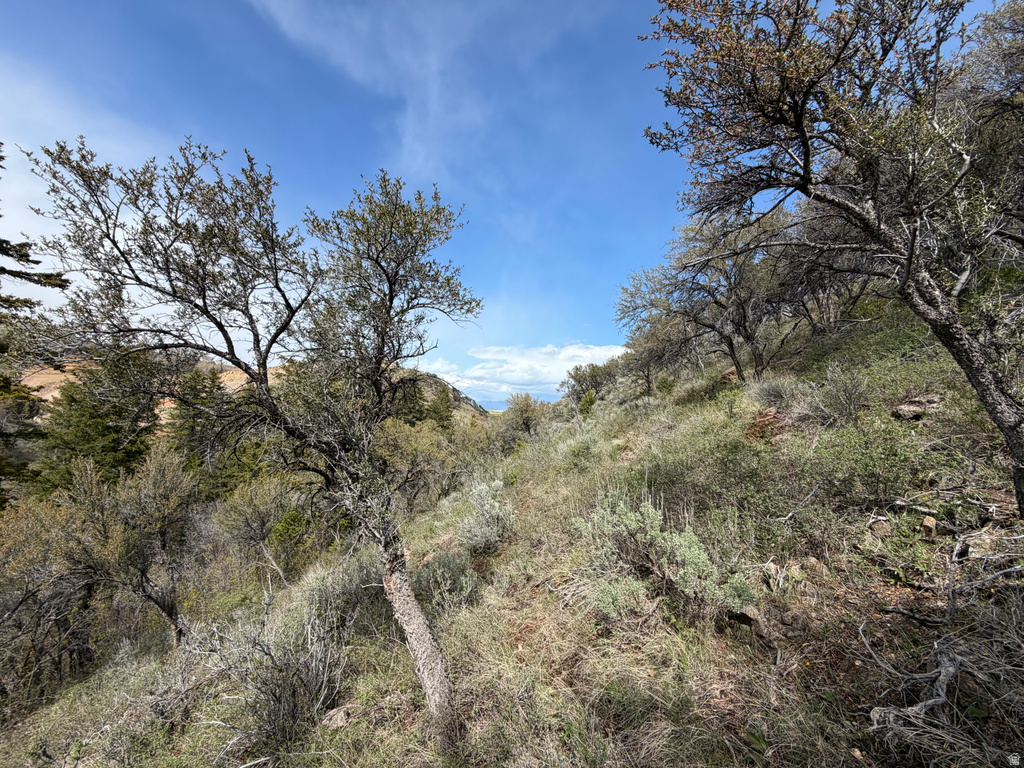 1300 W SWAN CREEK SPRING RD Garden City, UT 84028
