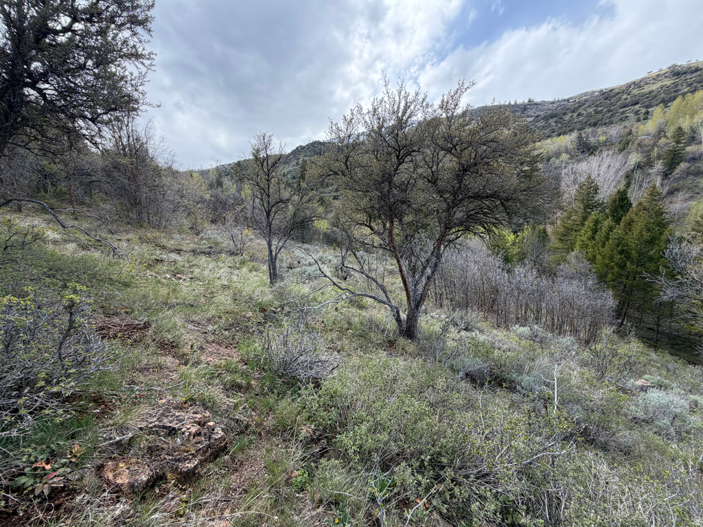 1300 W SWAN CREEK SPRING RD Garden City, UT 84028