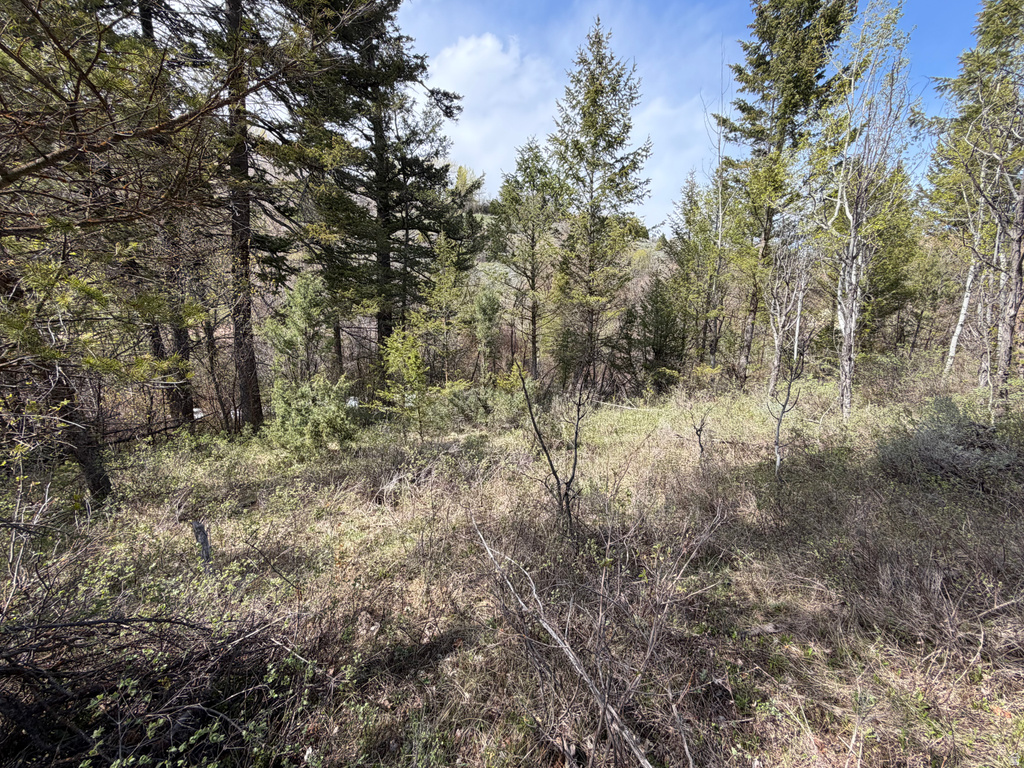 1300 W SWAN CREEK SPRING RD Garden City, UT 84028