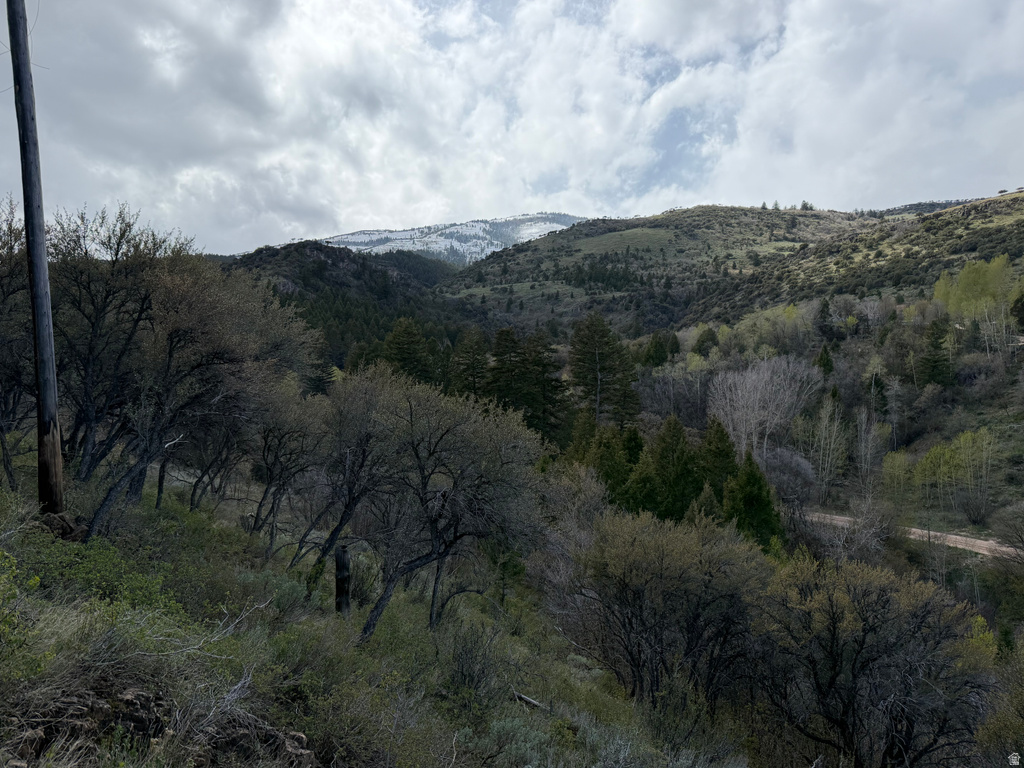 1300 W SWAN CREEK SPRING RD Garden City, UT 84028