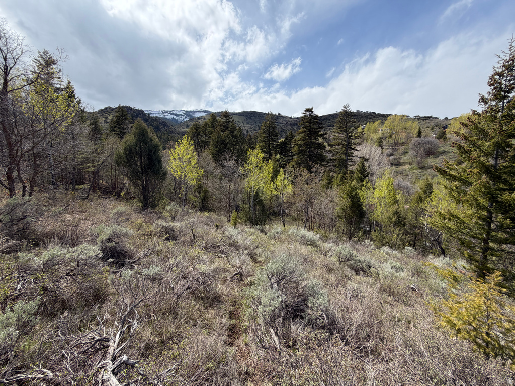 1300 W SWAN CREEK SPRING RD Garden City, UT 84028