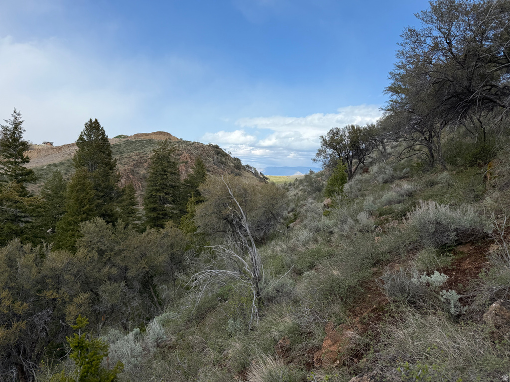 1300 W SWAN CREEK SPRING RD Garden City, UT 84028