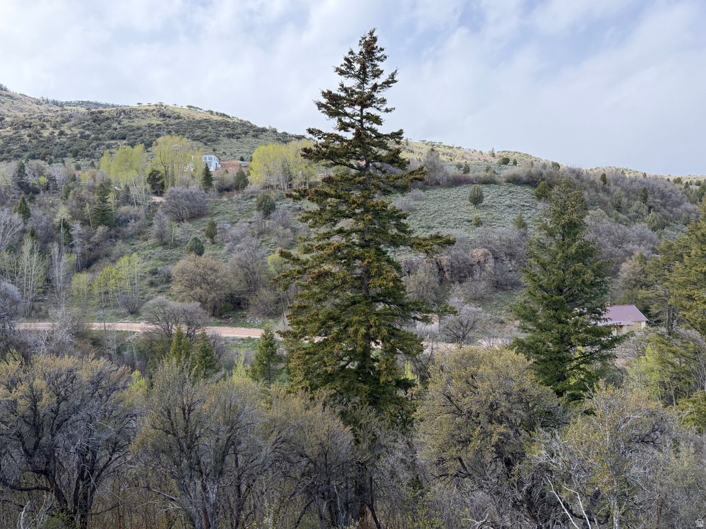 1300 W SWAN CREEK SPRING RD Garden City, UT 84028