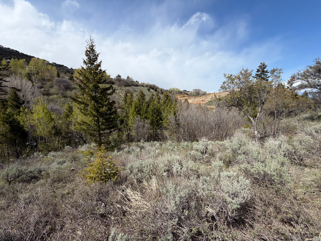 1300 W SWAN CREEK SPRING RD Garden City, UT 84028