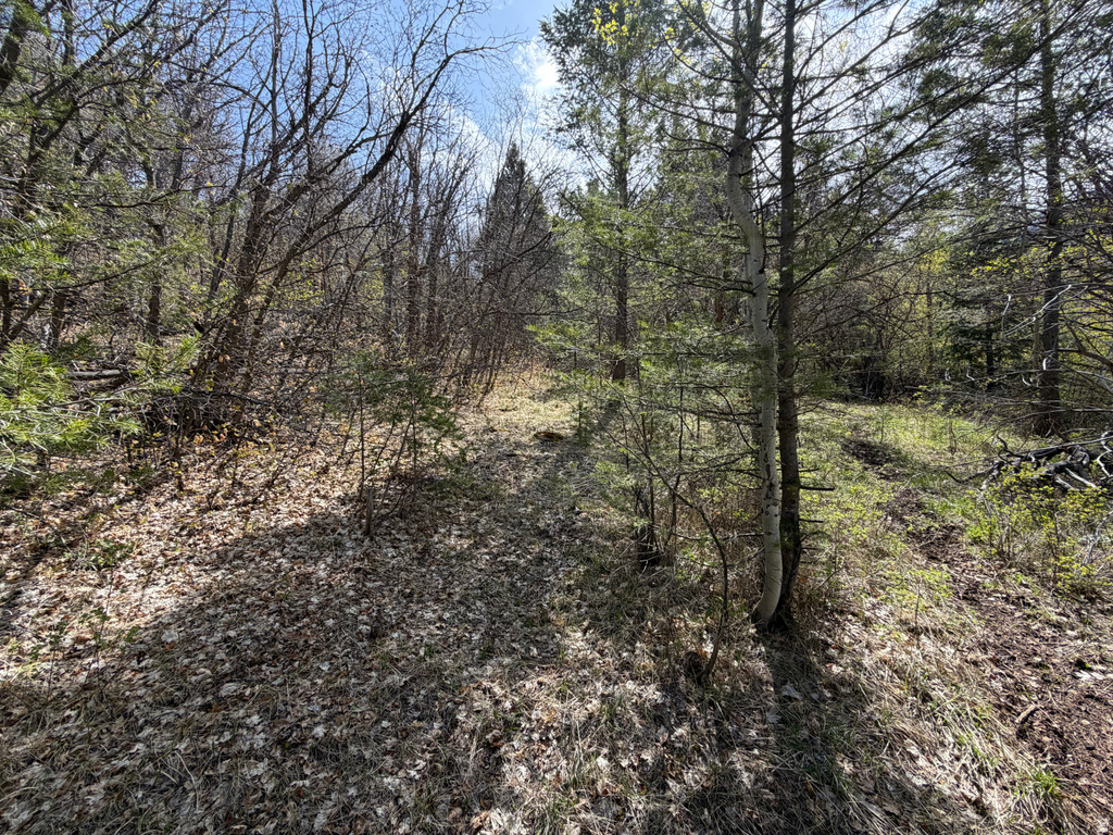 1300 W SWAN CREEK SPRING RD Garden City, UT 84028